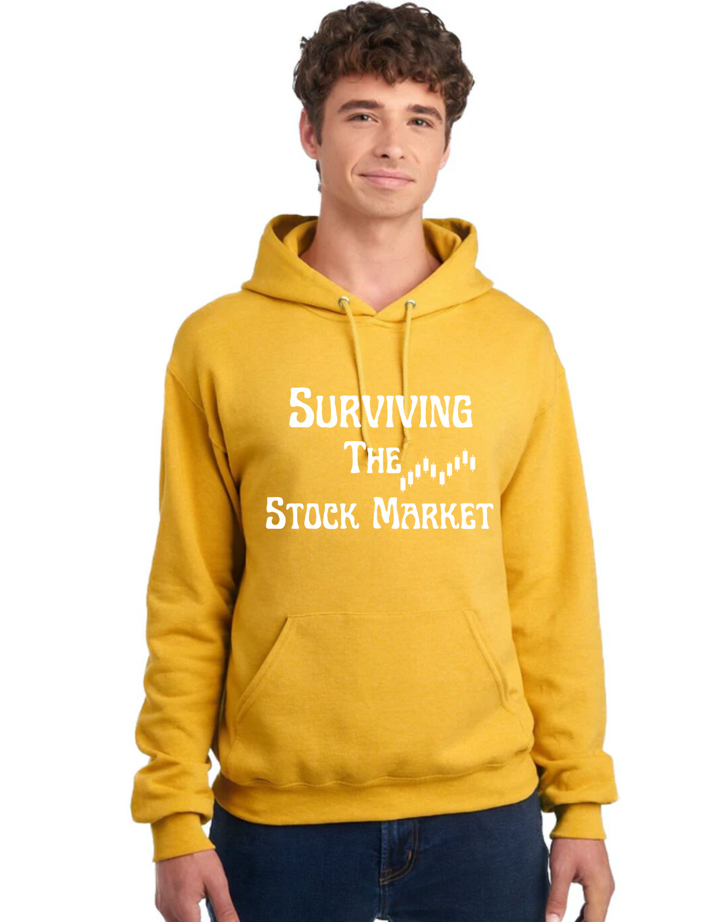 SURVIVING THE STOCK MARKETPULL OVER HOODIE